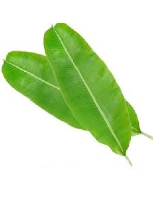 Banana Leaf 2pcs