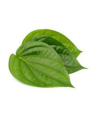 Beetel Leaves 