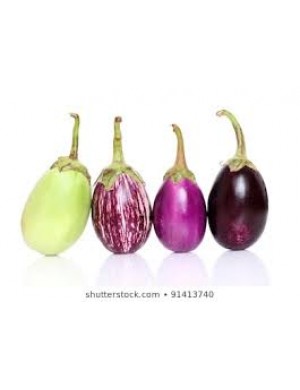 Brinjal 