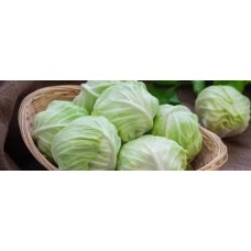 Cabbage 