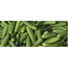 Cucumber 