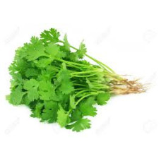 Fresh Coriander Bunch