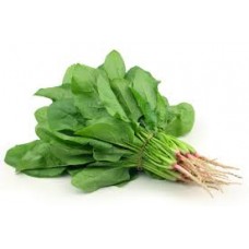 Fresh Spinach Bunch