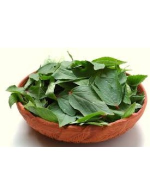 Gongura leaves