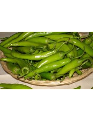 Green Chillies 
