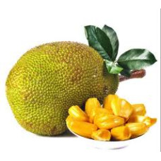 Jackfruit 