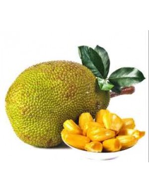 Jackfruit 