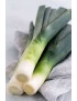 Leeks 
