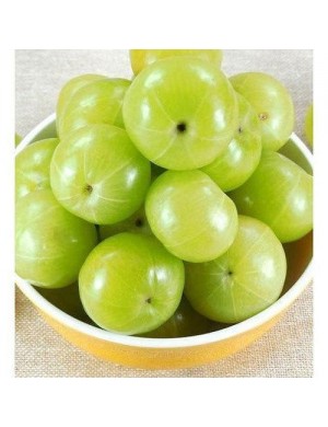 Amla Fruit 