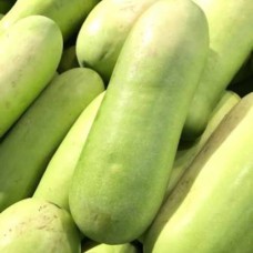 Ash gourd
