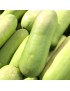Ash gourd